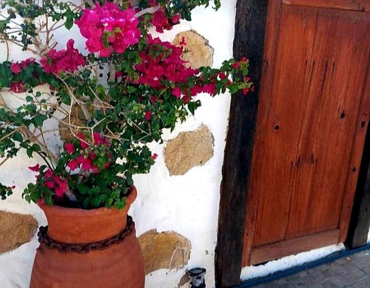 Casa Rural Alessia With Jacuzzi ,Garden & Swimming Pool Santa Cruz de Tenerife Exterior foto